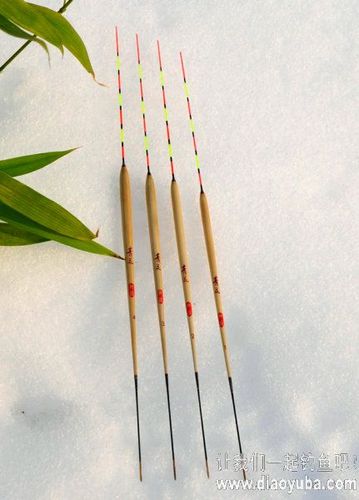 怎么用长身标钓鱼?