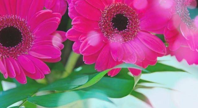 幸运,将在这段时间找到恋情,每日都享受着爱人的陪伴,让其他属相看着