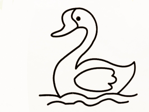 白鹅图片简笔画手抄报 手抄报版面设计图