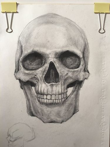 骷髅头(素描)