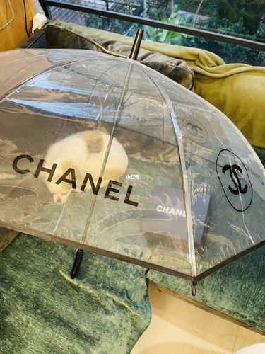 香奈儿雨伞_雨伞_香奈儿怎么样_家居家装_家居用品