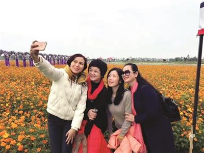游客在广东海纳现代农业生态园赏花