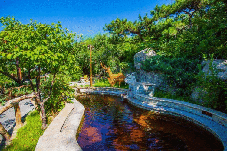 乍暖还寒,快去凤山泡个温泉~|温泉水|温泉度假村|汤池