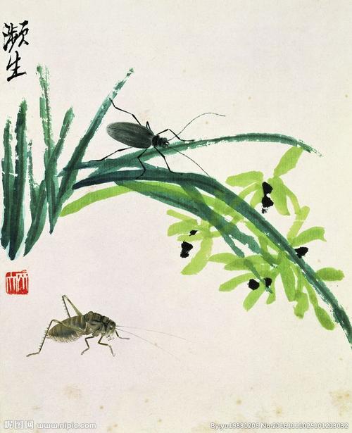 中国水墨画 齐白石国画 写意画
