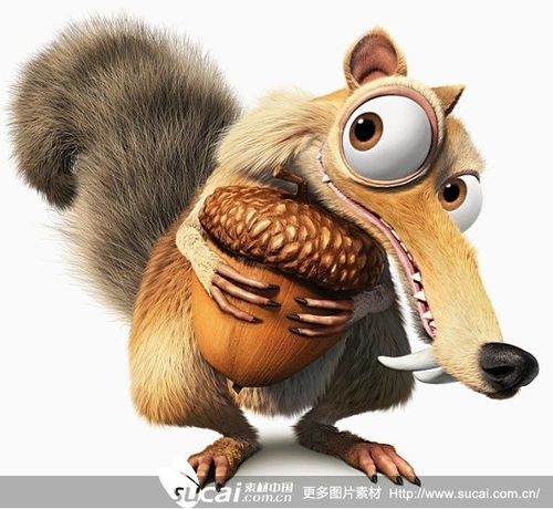 cn 冰河世纪3素材高精度大图卡通素材,冰川世纪3 松鼠 坚果 高清图片