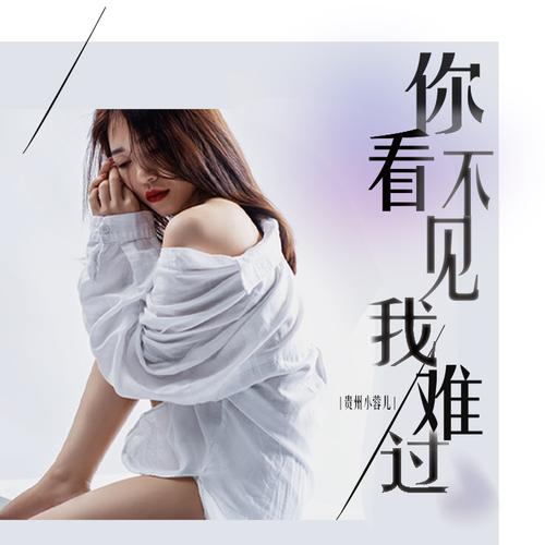 见我难过_贵州小蓉儿__高音质在线试听_你看不见我