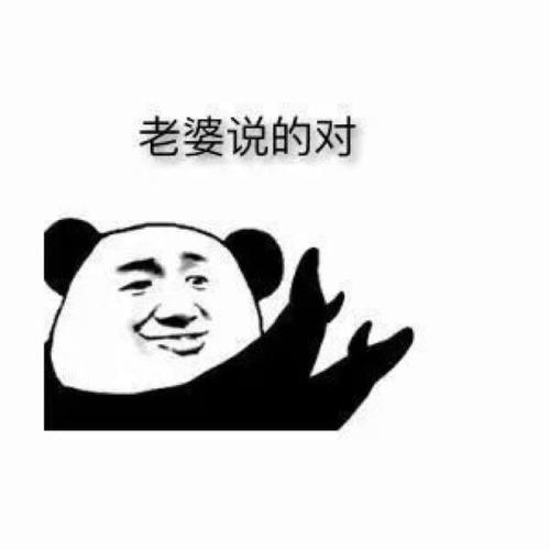 老婆说的对老婆表情