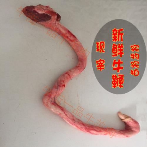 包邮生鲜内蒙土黄牛牛鞭热销新鲜牛肉生牛肉牛鞭牛睾丸鲜牛蛋500g