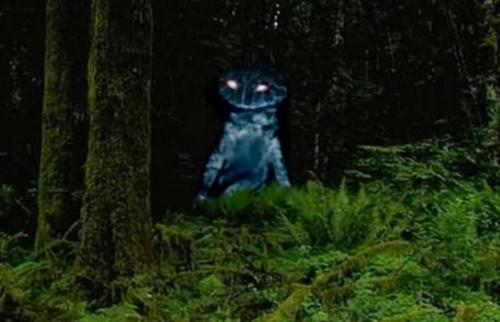 神秘生物青蛙人,擅长游泳两条腿走路