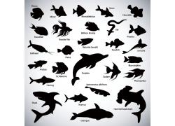 各类鱼剪影