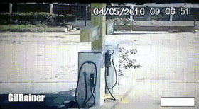 《明日方舟》阿米娅驴耳朵表情包大全 史上最速迫害传说