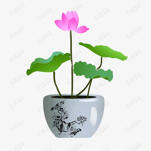 古风花盆荷花荷叶插画