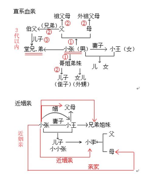 直系血亲&近姻亲