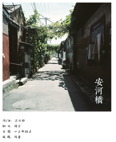 安河桥(cover:宋冬野)