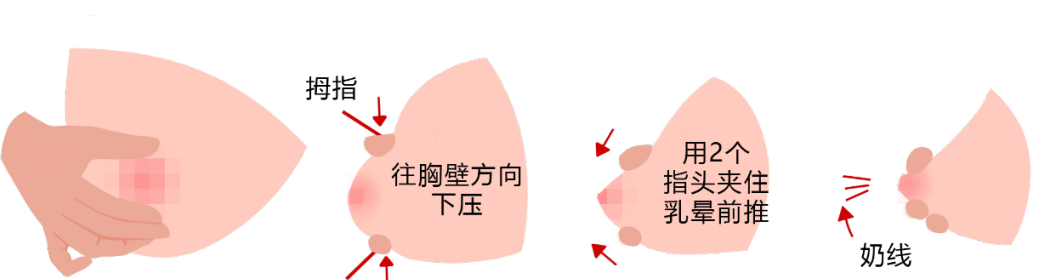 「图解」9步通乳手法,很实用!