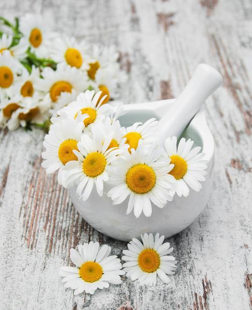 韩秀宫:冬季敏感肌"危机四伏"怎么破?试试安肤特护洋甘菊纯液