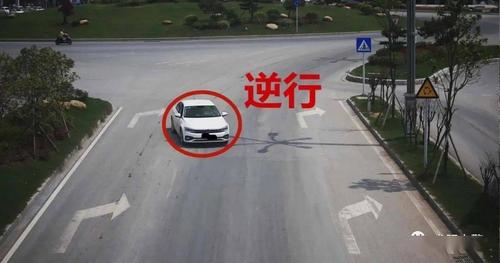 部门处罚的重点 但总有部分驾驶员  不顾自己与他人安危  肆意逆行