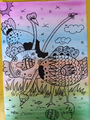 创意线描——鸵鸟