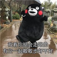 熊本熊强撩表情包:我看你挺会照顾人的,照顾我好不好?