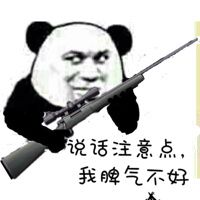(熊猫拿枪)_一起斗图啦表情包