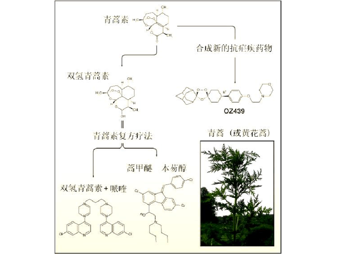 > 青蒿素