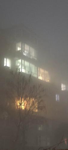 2021年1月26日夜间一场中雪过后,整个沈阳地区被大雾笼罩,不论是农村