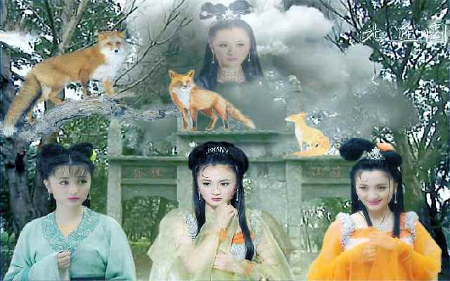 在神话小说《西游记》中,多次出现狐狸精的形象.