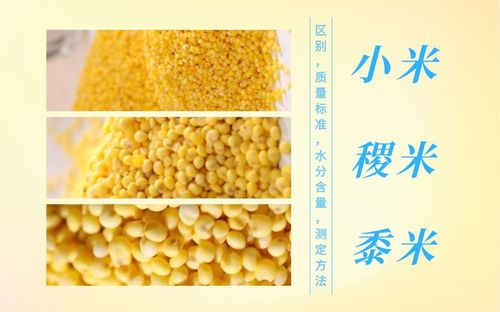 小米,稷米和黍米:区别,质量标准,水分含量,测定方法