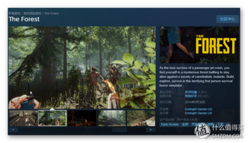 4,    森林《the forest》