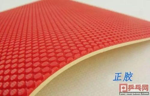 正胶反胶生胶长胶图片:【器材】正胶,生胶,长胶,反胶及防弧胶各自是