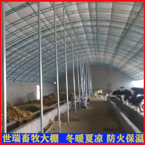 养牛大棚搭建厂家 钢架养牛大棚建设 养牛棚施工包工包料