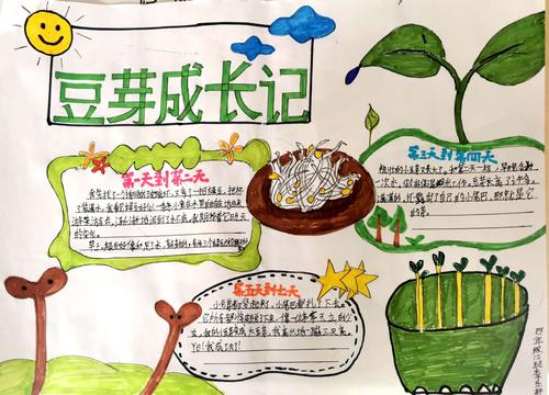 成长记 写美篇   同学们通过每天认真地观察豆芽的生长过程,观察日记