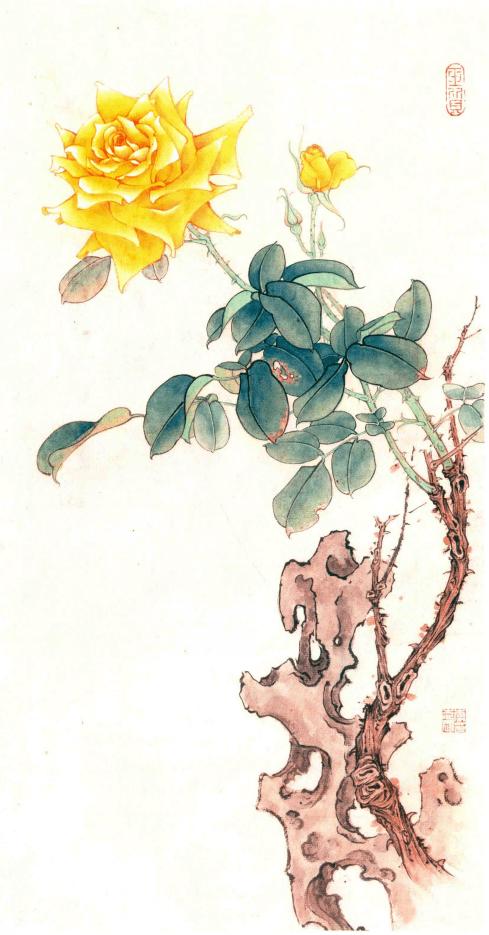 国画技法工笔月季画法示范步骤