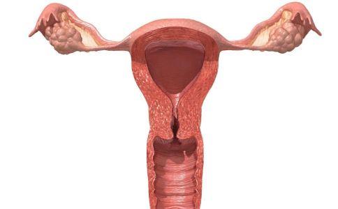 女人的阴道到底有多深关于女性阴道的秘密