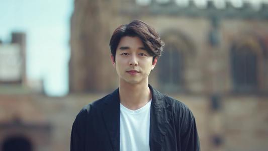 你对《鬼怪》韩剧的男主角孔刘有什么评价?