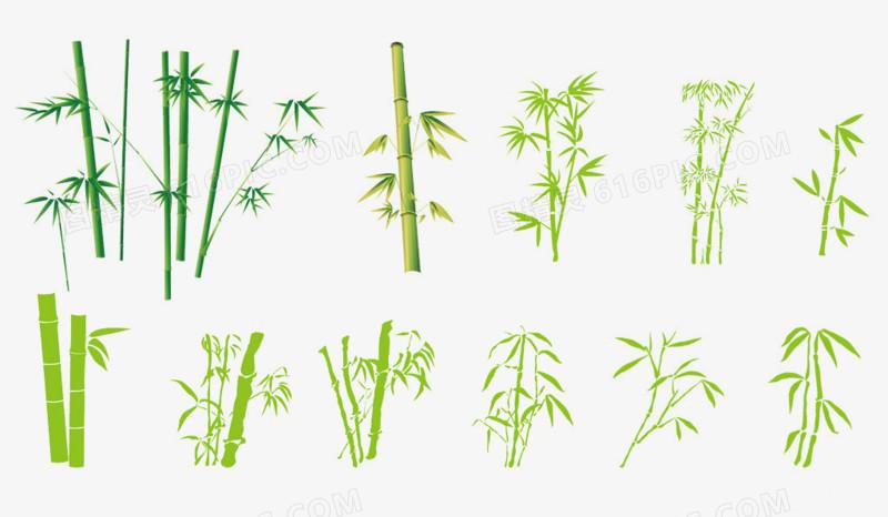 素描翠竹 清新手绘竹子