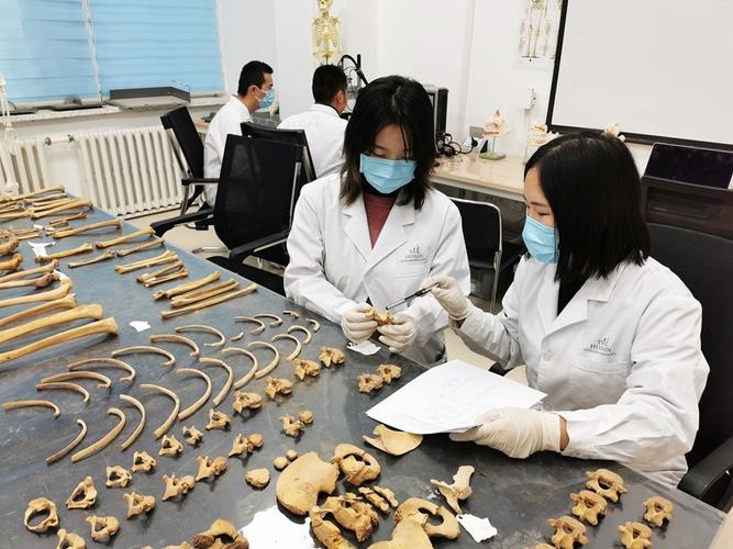 吉林大学生物考古实验室再上新台阶