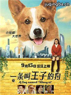 电影一条叫王子的狗海报