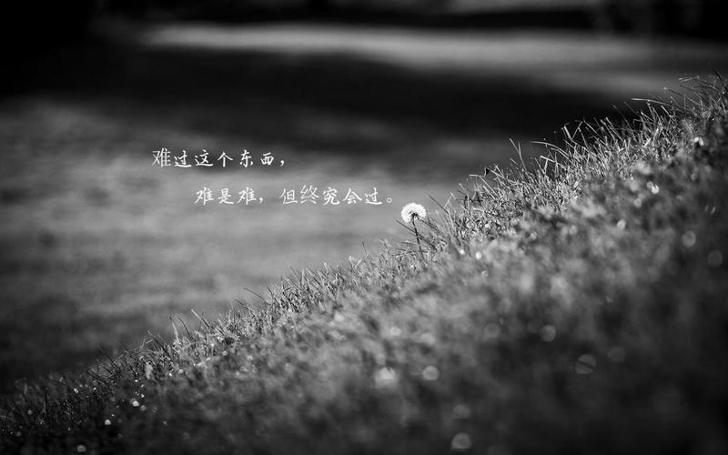 一个人的伤感说说配图,高清壁纸图片,非主流-回车桌面