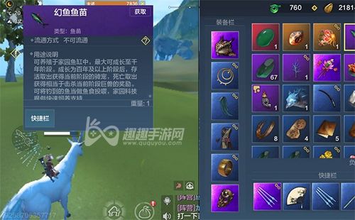 妄想山海鱼苗怎么获得 长什么样子解答