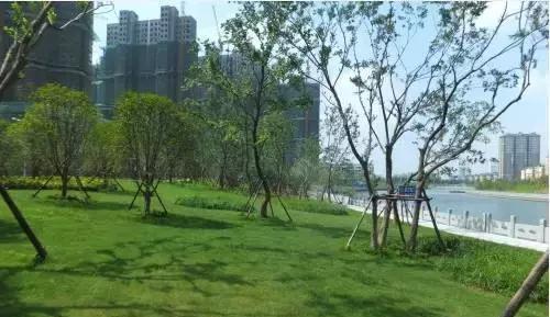 美景已现!泉水湾湿地公园样板段先睹为快(多图)