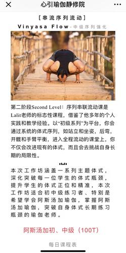 帕塔比·乔伊斯 sri krishna pattabhi jois