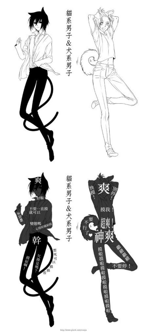 猫系男子和犬系男子能摸和不能摸的地方