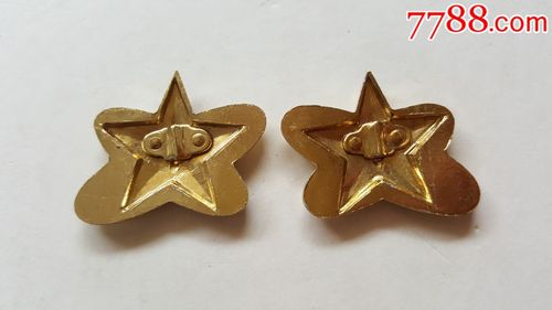 87式专业技术领花1副