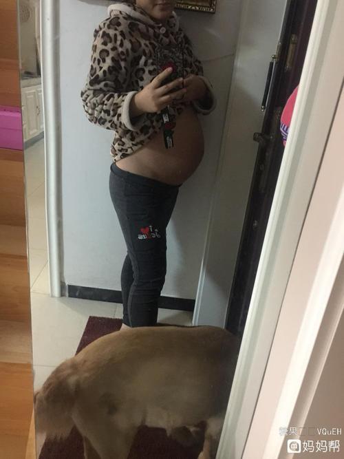 双胞胎27周的肚子居然不显怀