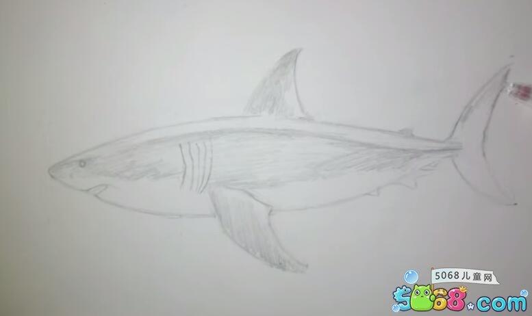 鲨鱼素描画 - 好看的画大全