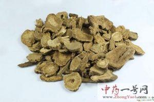 青木香的功效与作用-中药青木香与木香的区别及副作用禁忌-中药一号网