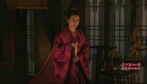 知否:扣留齐国公,逼齐衡签婚书的邕王妃扮演者来头也太大了吧