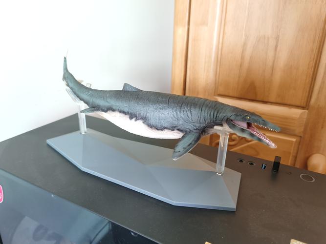 有请沧老师#古生物##pnso##沧龙##动物模型##海洋生物