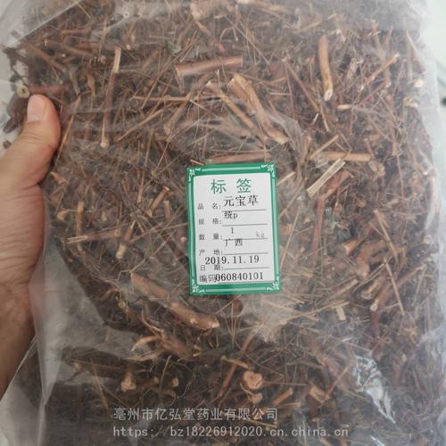 【野生穿心草 穿心草价格 穿心草的功效】图片